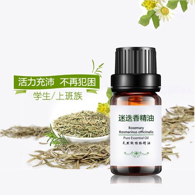 Tinh dầu hương thảo 10ml một phương Chính Hãng Hương thơm tự nhiên chăm sóc da mặt mặt Tóc Tóc điều hòa tóc massage dầu 