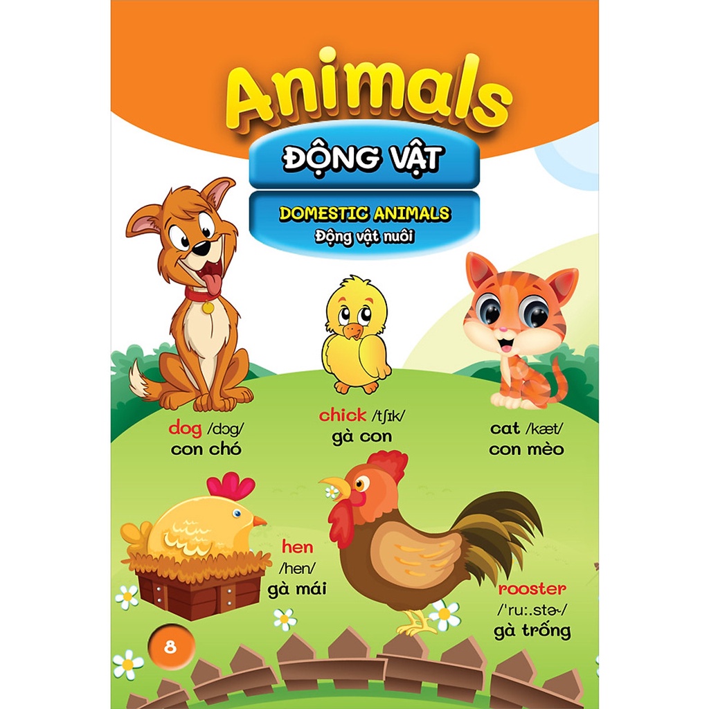 Sách- Từ điển bằng hình đầu tiên của bé