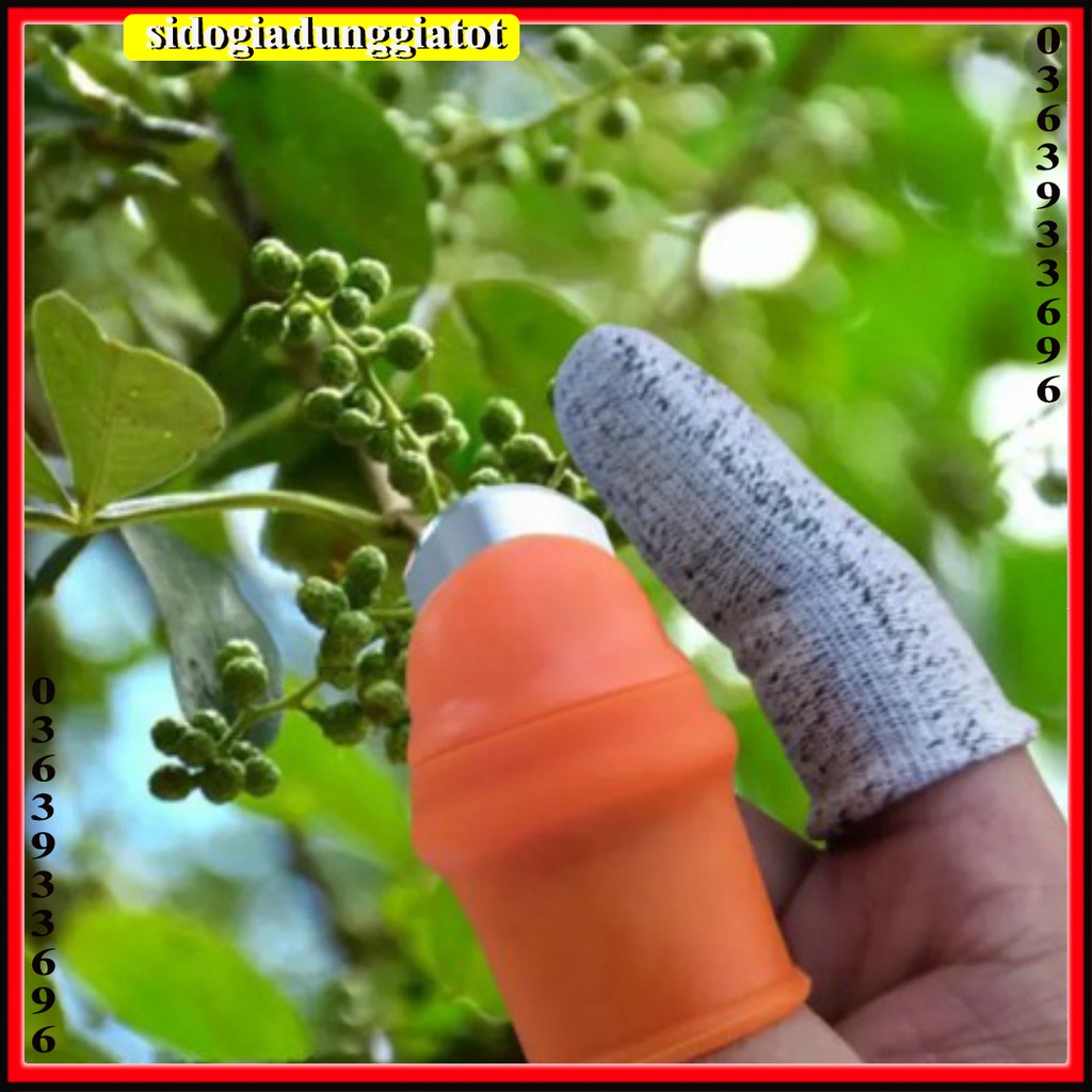 Ngón cái bấm cắt rau củ - nạo gọt tiện lợi chống bẩn móng tay - SĐGDGT