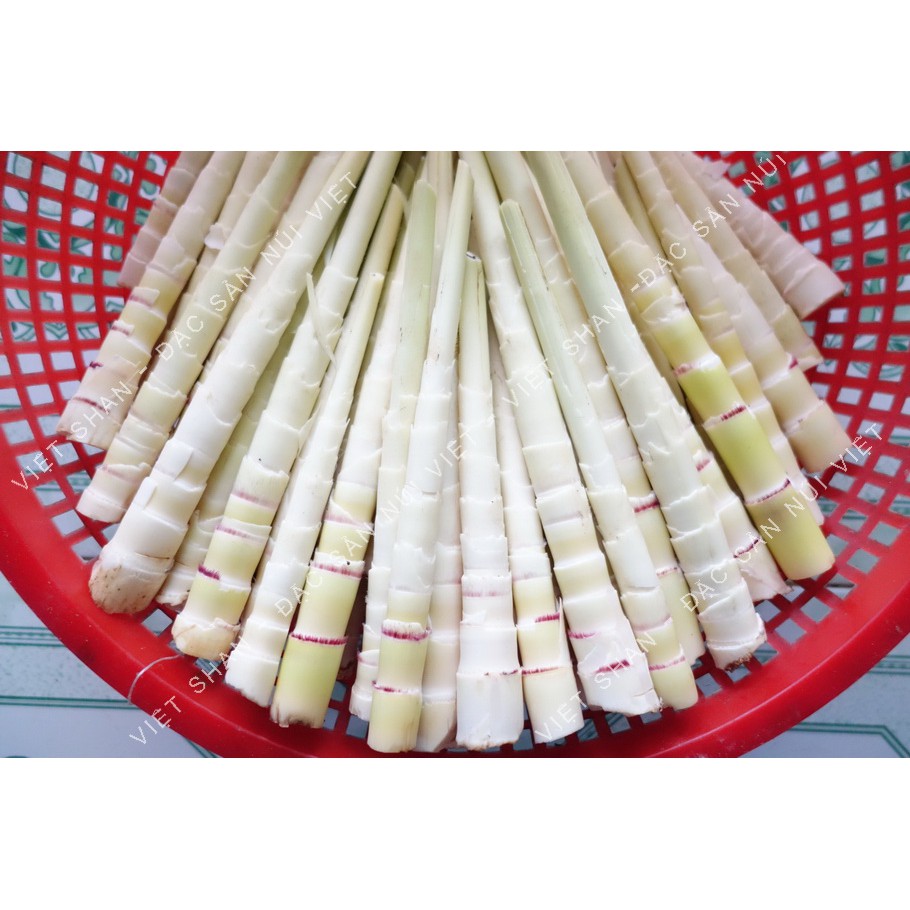 Măng trúc tươi Yên Bái 400g loại 2