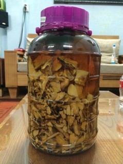 1 Kg cây mật gấu rừng
