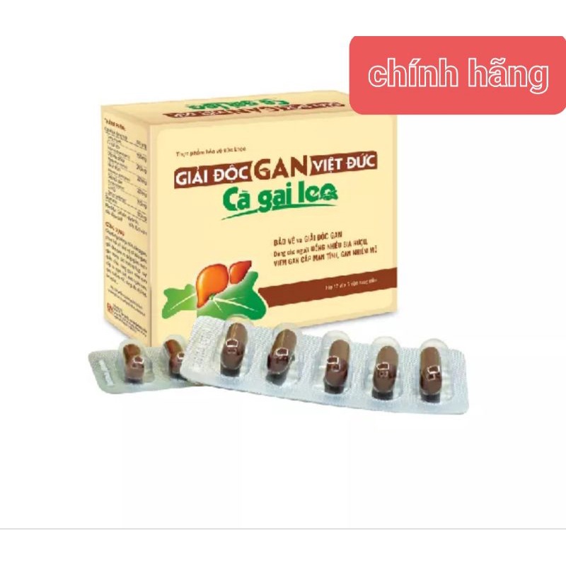 Giải độc gan Việt Đức CÀ GAI LEO, giúp giải độc gan, giảm men gan, gan nhiễm mỡ