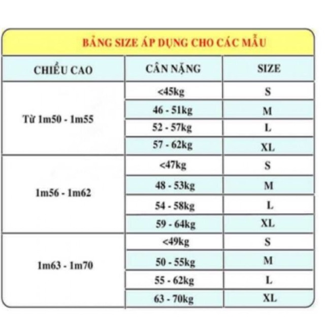 Áo Sơ Mi Hoa + Chân Váy Xếp Li Kèm Đai