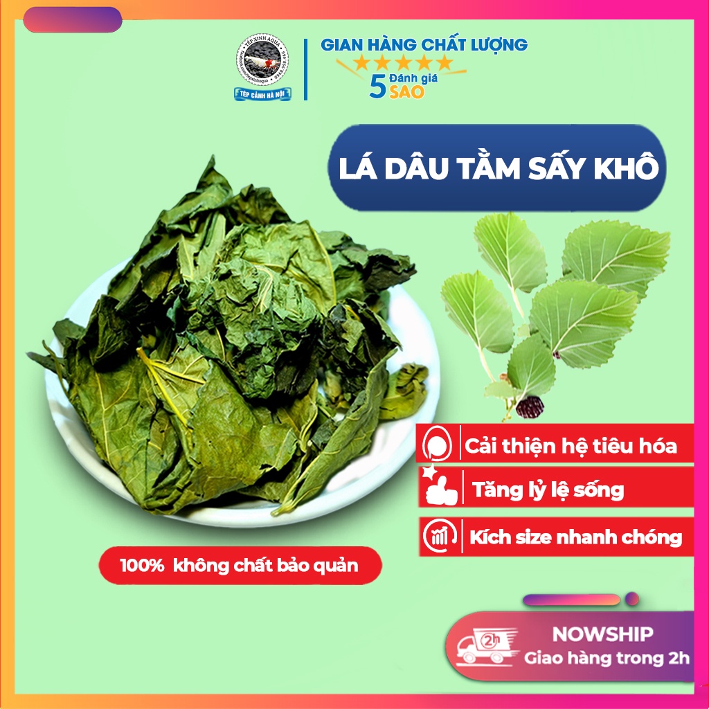 Lá Dâu Tằm Sấy Khô - Thức ăn tự nhiên cho tép Cảnh