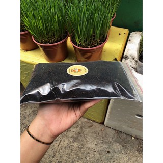 Đất sạch giàu dinh dưỡng / Đất sạch trồng cây
