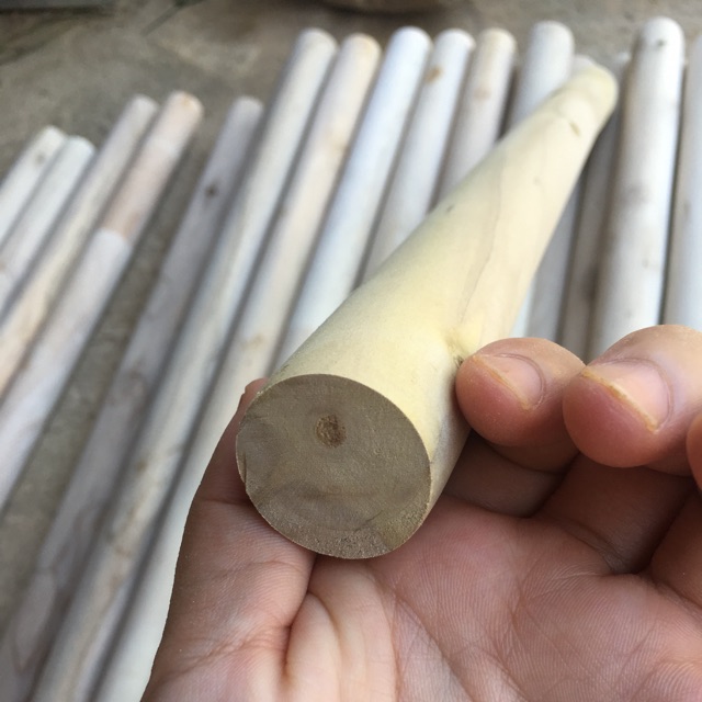 Combo 20 thanh phi 2.5 dài 20cm | BigBuy360 - bigbuy360.vn