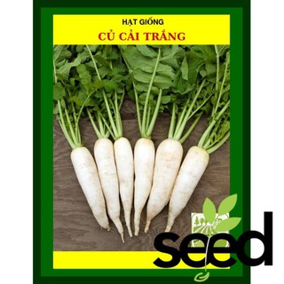 Hạt Giống Củ Cải Trắng 50 Gram
