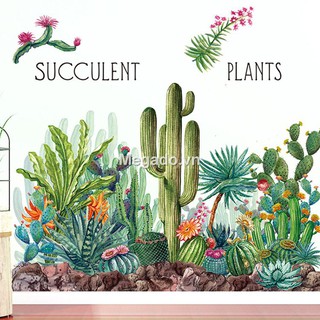 Decal chân tường cây xương rồng A263