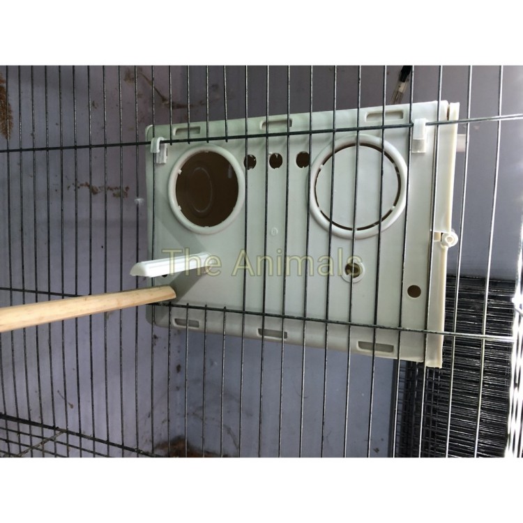 Tổ đẻ cho chim yến phụng, yến phụng EU, vẹt Malay, lovebird, parottlet và các loại chim nhỏ