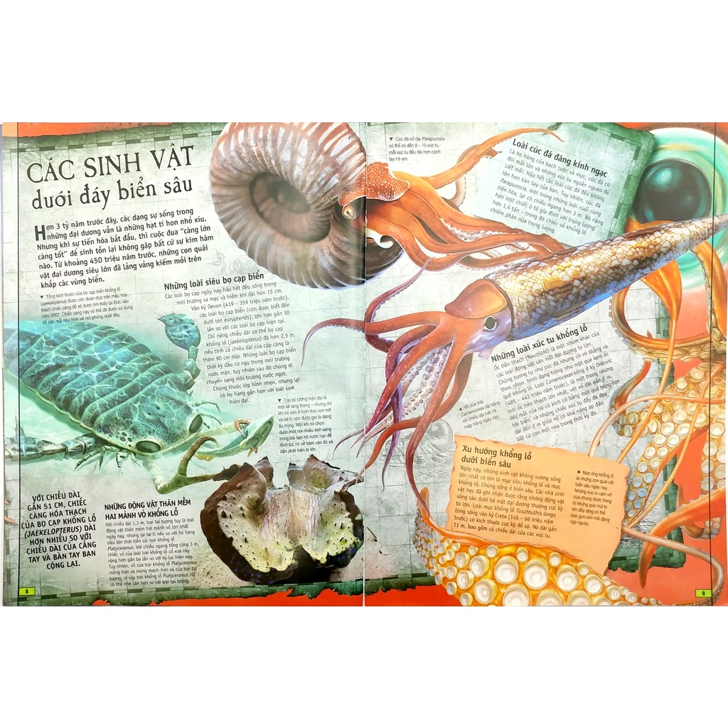 Sách - Quyển Sách Kỳ Thú Về Động Vật (Phương Nam)