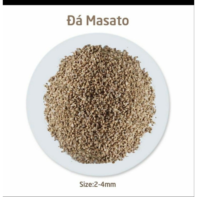ĐÁ MASATO GIỮ MÀU SEN ĐÁ