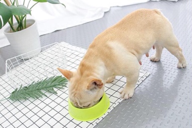 Bát ăn nhựa tròn cho chó mèo nhiều màu sắc