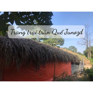 Phân trùn quế dạng bột