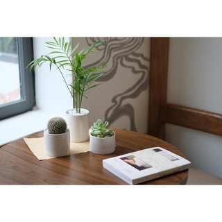 Bộ chậu sứ trắng 3 size Giá cực tốt - Chậu cây độc đáo - Giá rẻ nhất - Cây cảnh rẻ đẹp - Cây văn phòng