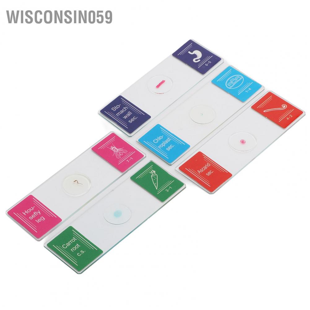 Wisconsin059 25 cái Kính trượt chuẩn bị sẵn Côn trùng Mẫu vật Thực Động cho Giáo dục Sinh học