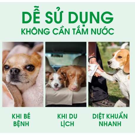 SỮA TẮM KHÔ TROPICLEAN HƯƠNG DỪA - AN TOÀN, MỀM MƯỢT CHO BOSS