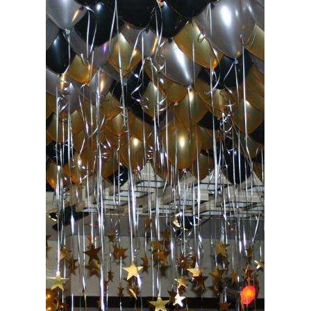 Siêu Giảm Giá- Combo 50 quả ghi, đen, đồng thái lan