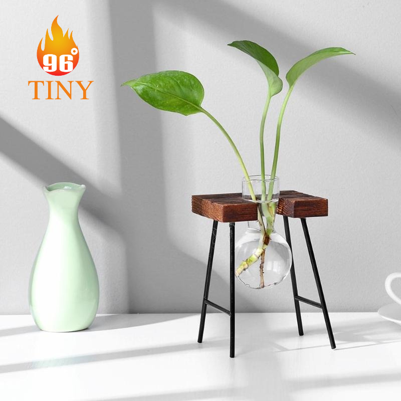 Bình thủy tinh hình tròn cắm hoa, trồng cây thủy sinh có khung gỗ và chân đế sắt trang trí để bàn, bàn làm việc