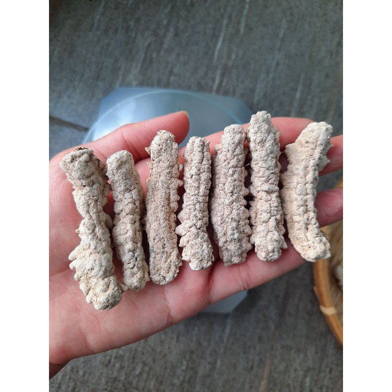 Hải Sâm Khô ( 50g ) | BigBuy360 - bigbuy360.vn