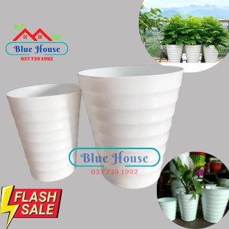 [ Giá Sốc ] Chậu Trắng Vòng Tròn Trắng