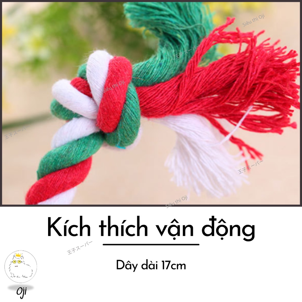 Dây thừng gặm dành cho chó mèo