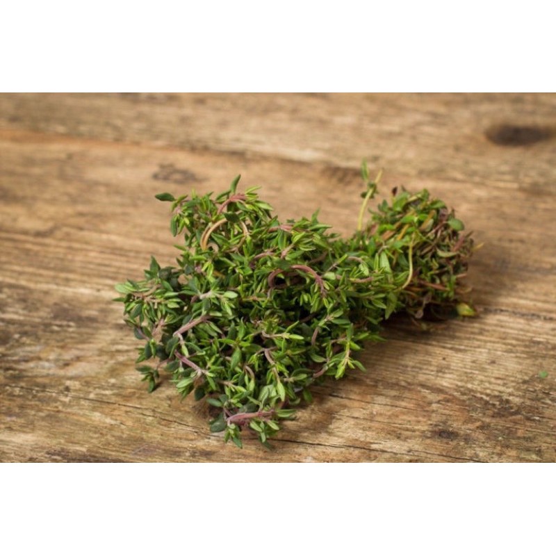 THYME - XẠ HƯƠNG TƯƠI CẮT CÀNH (1KG) - CÓ SẤY KHÔ