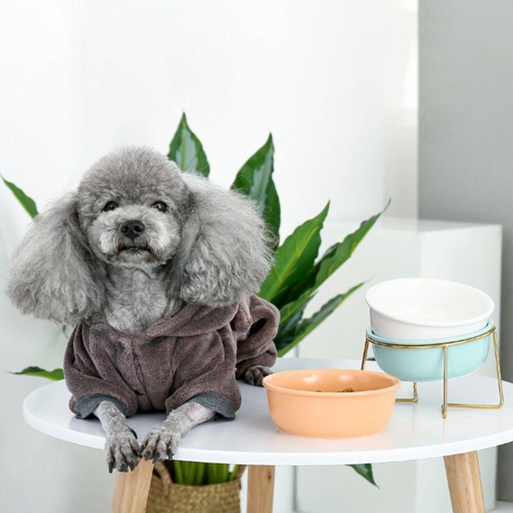 Bát Đựng Thức Ăn Cho Mèo Bằng Gốm Chống Trượt Phong Cách Bắc Âu