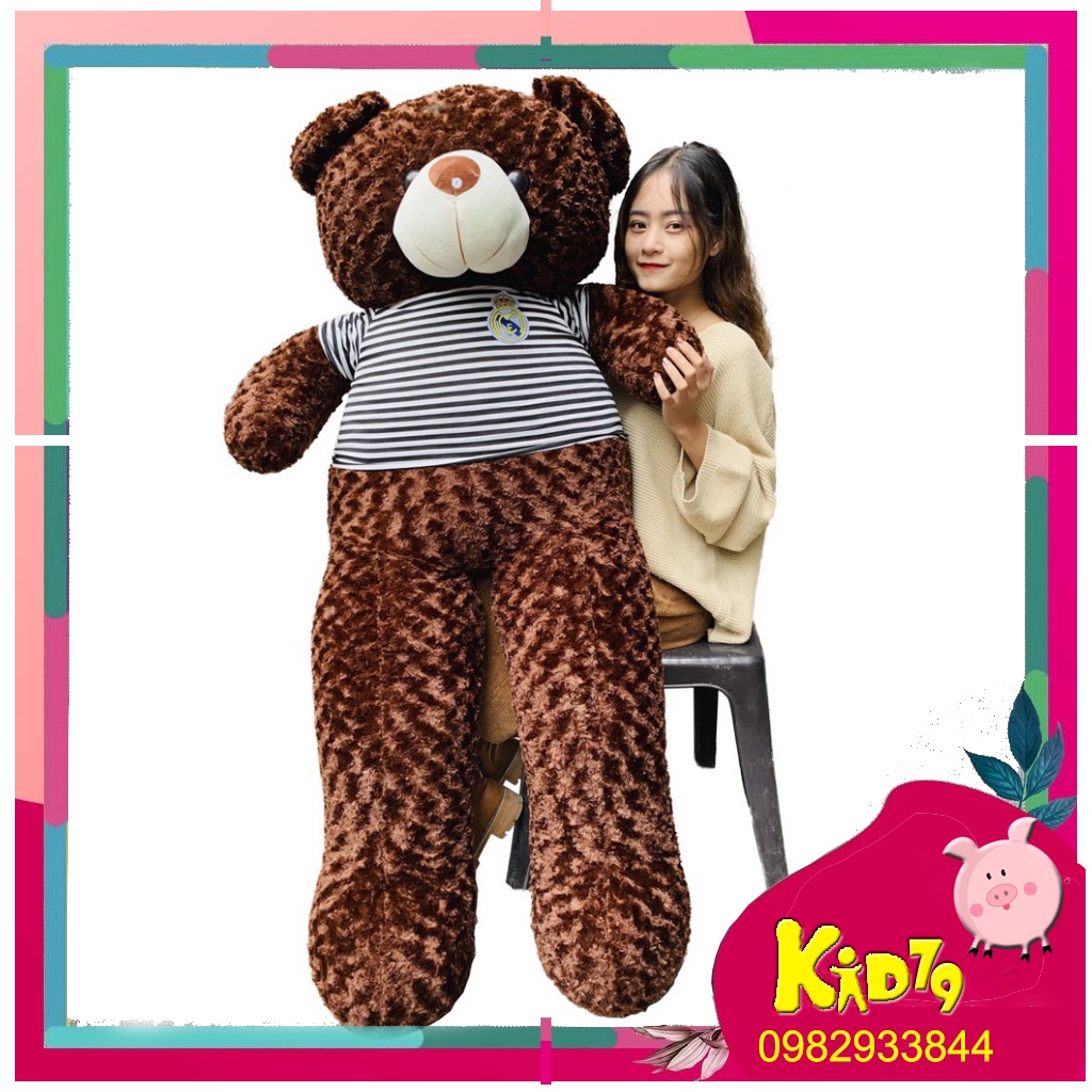 Gấu Bông Teddy 1m8 To, Thú Nhồi Bông Cute Khổng Lồ Giá Siêu Rẻ Chiều Cao Thật