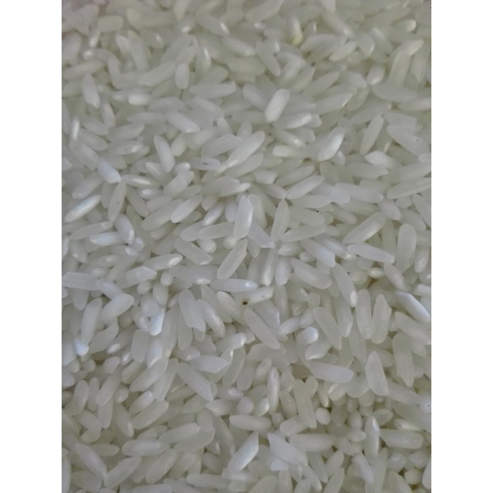 Túi 5kg gạo 504