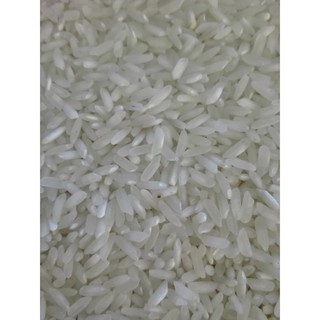 Túi 5kg gạo 504