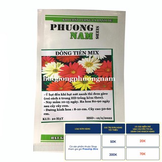 10H - HẠT GIỐNG HOA ĐỒNG TIỀN MIX