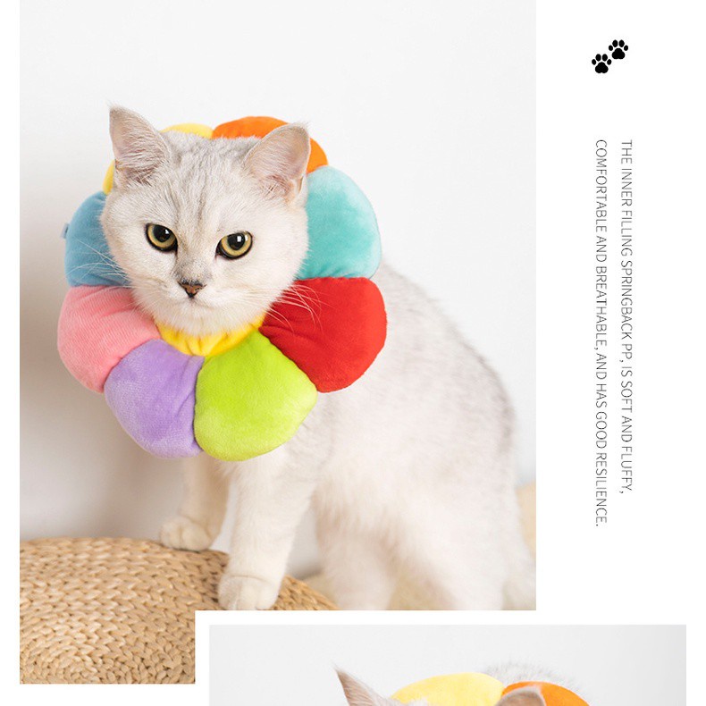 Vòng cổ Elizabeth bằng cotton mềm mại hình hoa hướng dương cho thú cưng