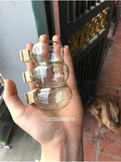Cóng thuỷ tinh cho mào, choè