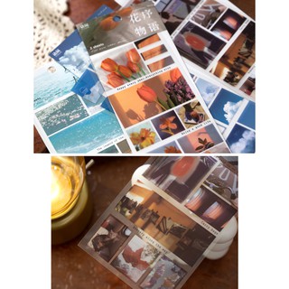 SET 2 TẤM STICKER PHONG CẢNH | MST365