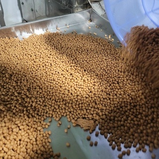 Đậu Phộng Cháy Tỏi Ớt [ Hủ 500 gam ]