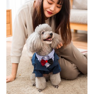  Áo vest bò sơ mi kẻ xanh thú cưng(Kèm nơ đỏ)