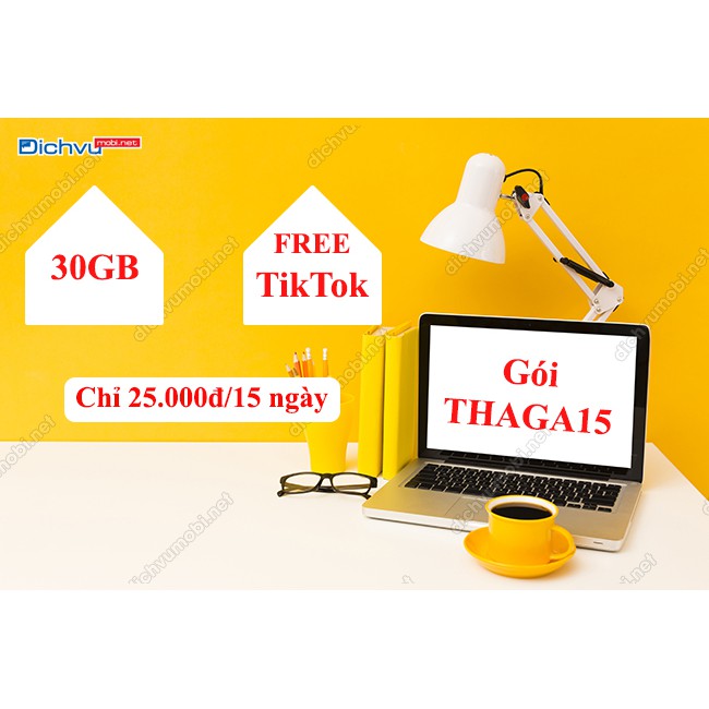 Bán Sim 4G Mobi THAGA15 - 25k/15 ngày = 30Gb; 50k/30 ngày = 60Gb + miễn phí TikTok + VTV Cab