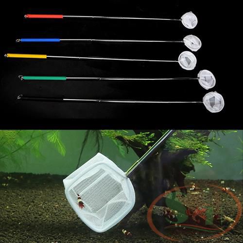 Vợt Tép 3d