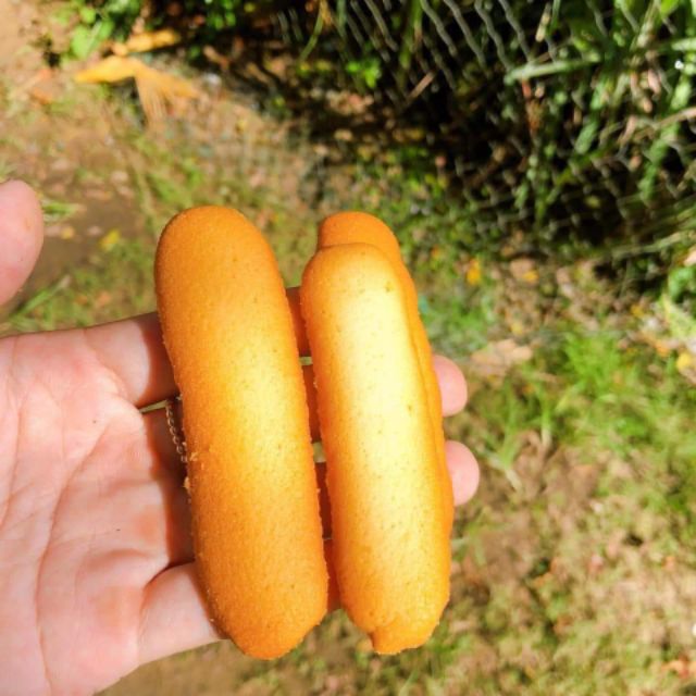 Bánh lưỡi mèo siêu giòn handmade