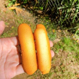 Bánh lưỡi mèo siêu giòn handmade