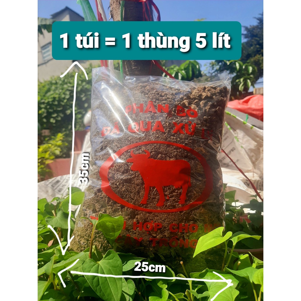 Phân Bò Đỏ đã qua xử lí thích hợp trồng với các loại cây