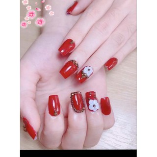 Bộ 24 móng tay giả kèm keo tặng dũa