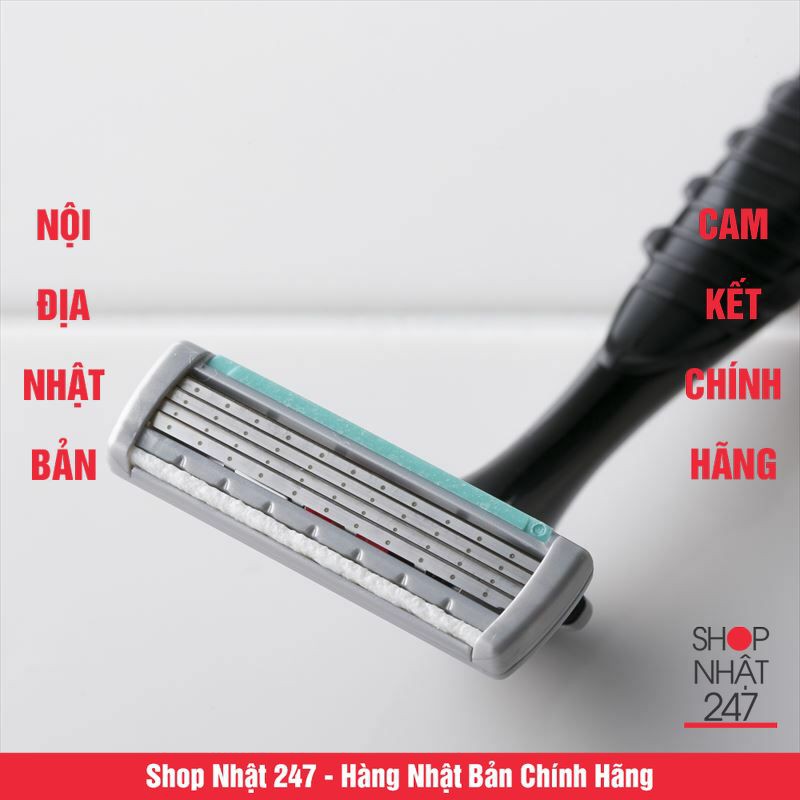 Dao cạo 5 lưỡi kép KAI (1 thân,1 lưỡi,hộp xanh) Nội địa Nhật Bản
