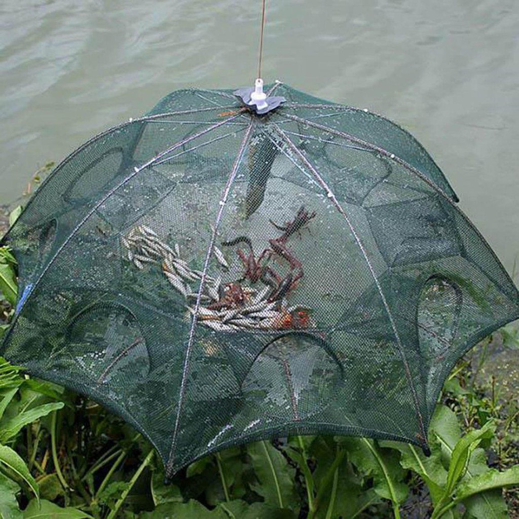 Lưới Bát Quái Bắt Cá, Tôm, Cua, Lươn
