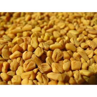 Hạt methi ấn độ trị bệnh tiểu đường hiệu quả 500gr