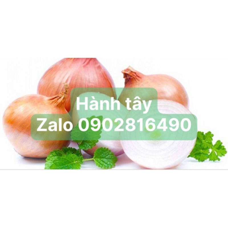 Củ hành tây (2kg )