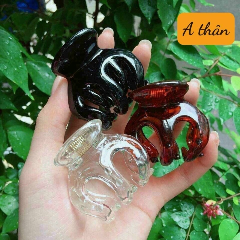 Combo 100 kẹp cành cua 5cm ( sỉ 3k5)