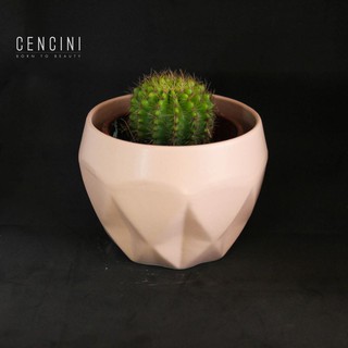 ❣️TẶNG 1 DĨA❣️Chậu Trám Kim Cương Quạt Xếp KhumTrồng Sen Đá Cây Cảnh- Chậu Sứ Bát Tràng - Chậu Cây Giá Rẻ [Mã0020]