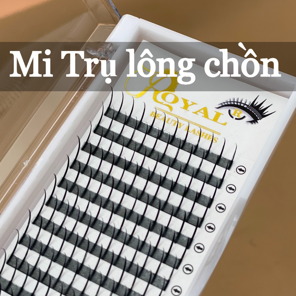 Mi Trụ Katun Lông Chồn ROYAL Cao Cấp | Mix size 12-15mm | Đây Đủ Độ Cong, Độ Dầy