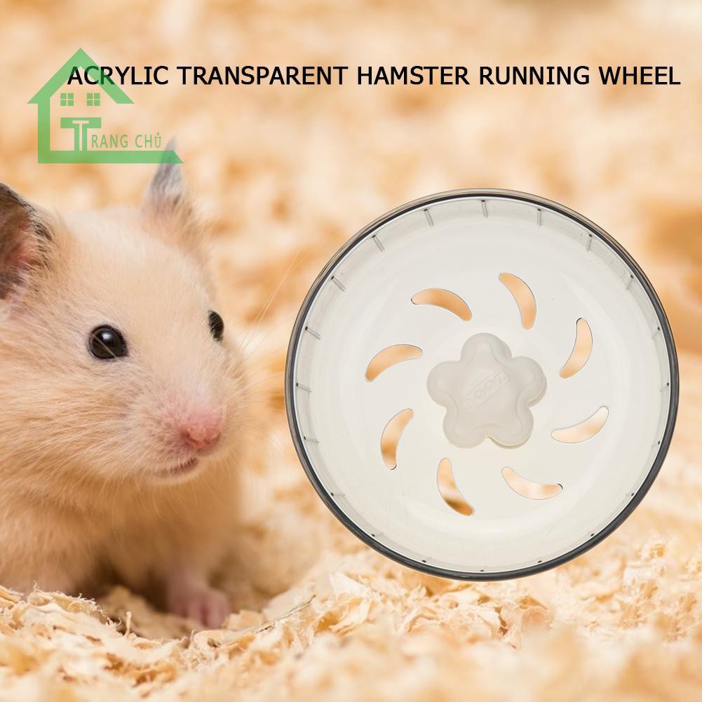 Bánh Xe Trong Suốt Cho Chuột Hamster Chạy Bộ